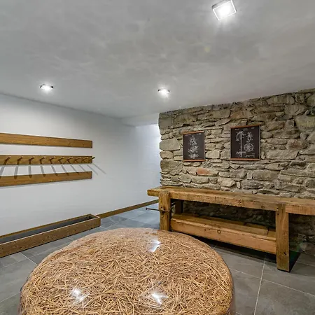 Moderne Avec Parking Et Wifi, A Proximite Des Pistes Et Commerces - Fr-1-566-20 Chalet *